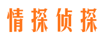 蒲城市婚外情调查